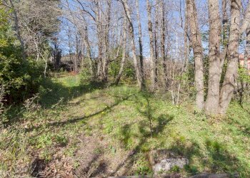 Giardino - Villa Via Tarderia
 
150, Pedara - foto 45