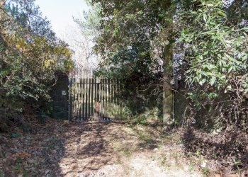 Giardino - Villa Via Tarderia
 
150, Pedara - foto 47