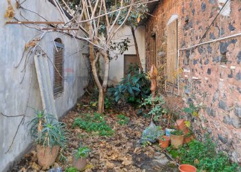 Giardino - Independent house Via Plebiscito
 
35, Catania - photo 13