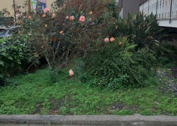 Giardino - Appartamento Via Giorgio Amendola
 
4/A, Fiumefreddo di Sicilia - foto 39