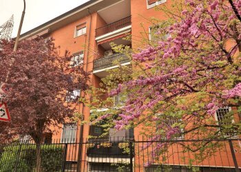 Edificio all\'aperto - Three-room apartment via 5 Giornate
 
18, Bollate - photo 18