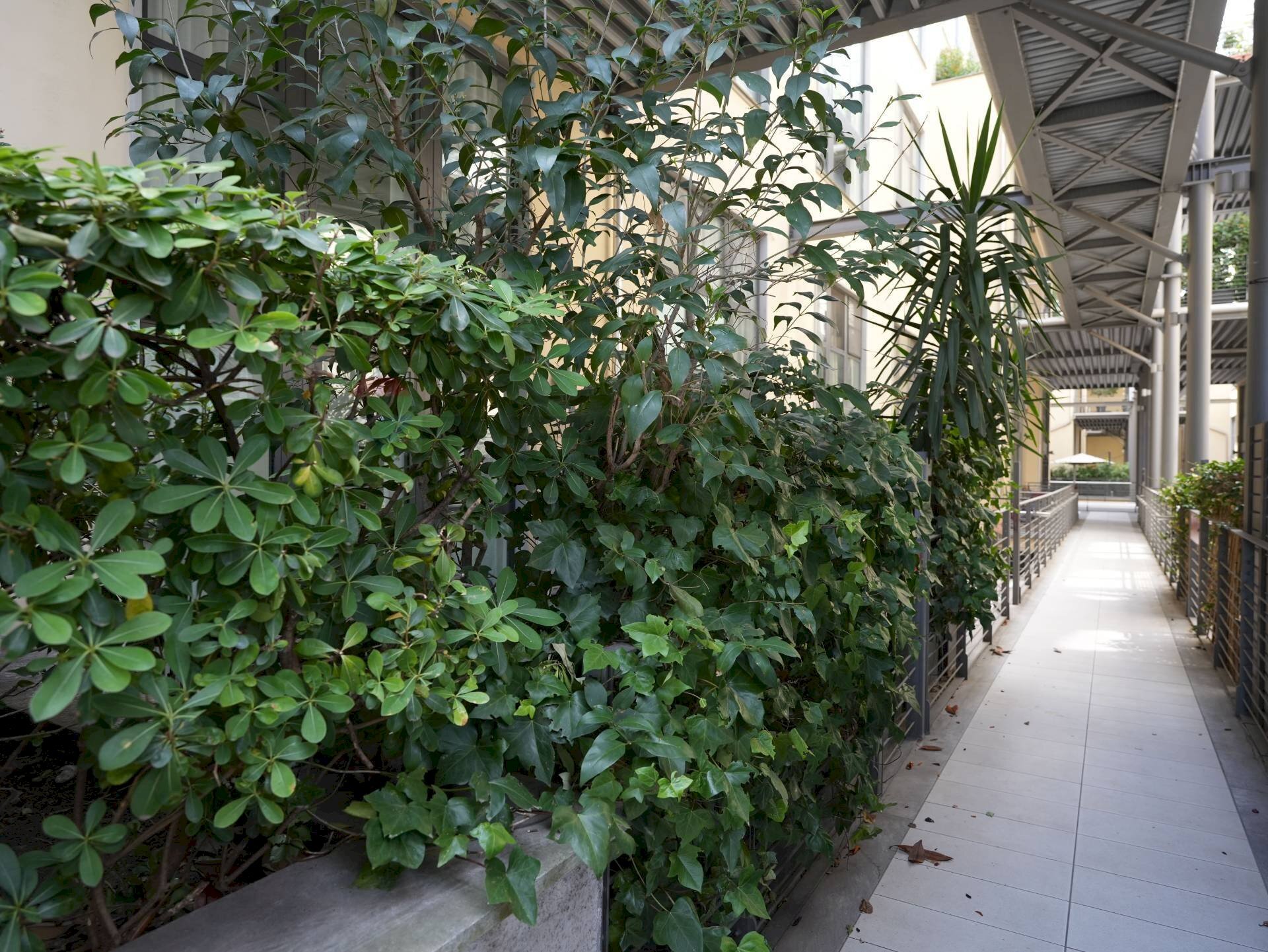 Edificio all\'aperto - Loft via Ripamonti
44, Milano - foto 3