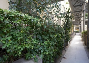 Edificio all\'aperto - Loft via Ripamonti
 
44, Milano - foto 3