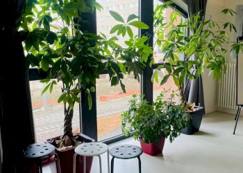 Dettagli - Loft via Ripamonti
 
44, Milano - foto 7