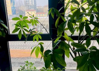 Dettagli - Loft via Ripamonti
 
44, Milano - foto 16