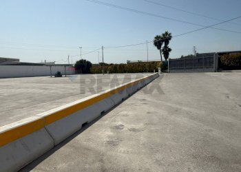 Terrazza - Shed Bari - photo 10