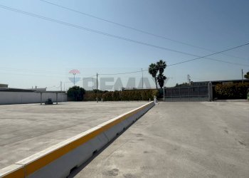 Terrazza - Shed Bari - photo 11