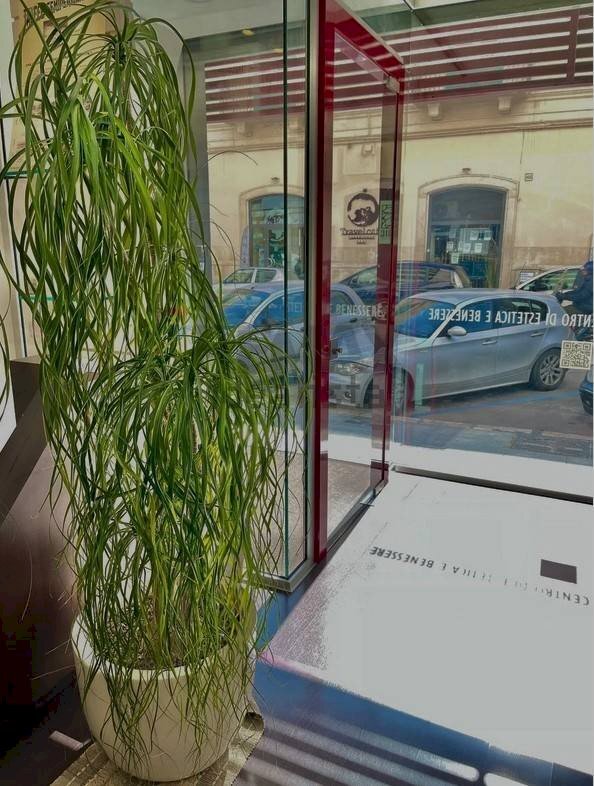 Ricezione / Lobby - Attività Commerciale Via Abate Giacinto Gimma, Bari - foto 1