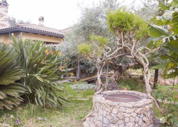 Giardino - Villa Roma - foto 7