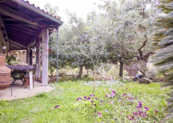 Giardino - Villa Roma - foto 14