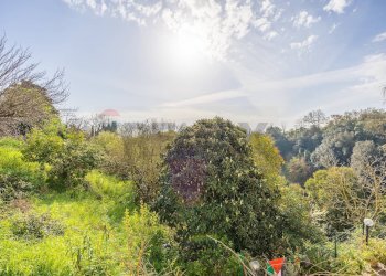 Non correlato - Trilocale Vicolo Di Monte Arsiccio
 
56, Roma - foto 6