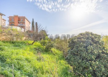 Giardino - Trilocale Vicolo Di Monte Arsiccio
 
56, Roma - foto 13