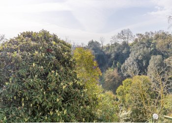 Vista delle montagne - Trilocale Vicolo Di Monte Arsiccio
 
56, Roma - foto 17