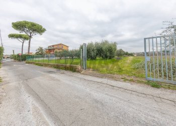 Giardino - Rustico Via Di San Matteo
50, Roma - foto 3