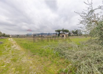 Giardino - Rustico Via Di San Matteo
50, Roma - foto 6