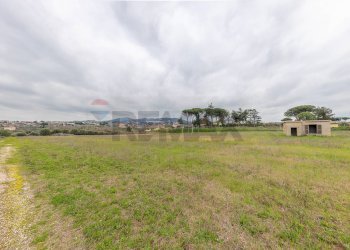 Giardino - Rustico Via Di San Matteo
50, Roma - foto 8