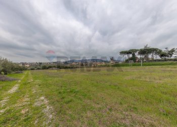 Giardino - Rustico Via Di San Matteo
50, Roma - foto 10