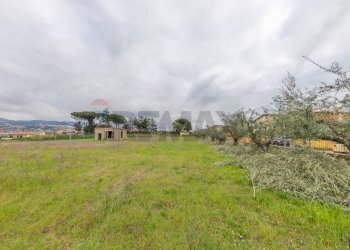 Giardino - Rustico Via Di San Matteo
50, Roma - foto 16