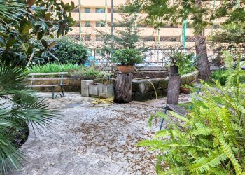 Giardino - Commercial Premises Via Orazio Comes
 
16, Bari - photo 37