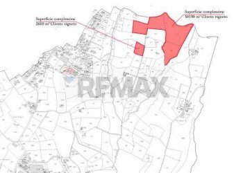 Pianta 2D - Agricultural land Viale Marconi, Castelfranco Piandiscò - photo 6