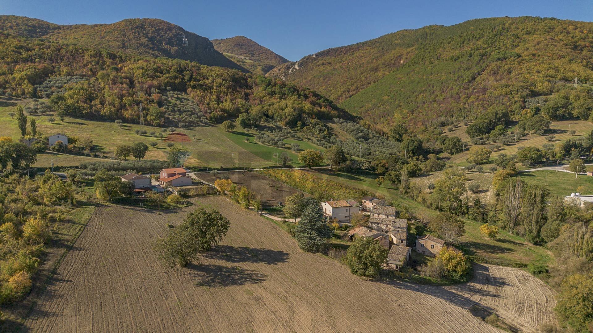 Vista delle montagne - Terreno agricolo sasso domo, Serra San Quirico - foto 3