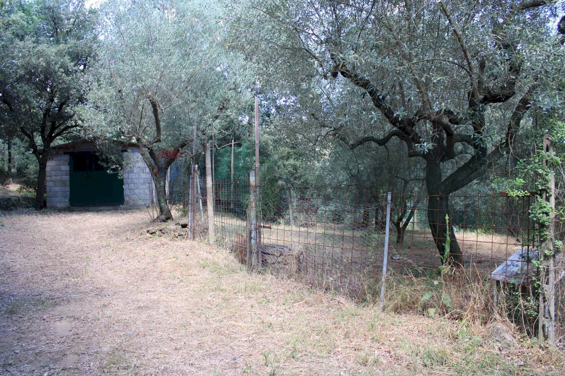 Giardino - Terreno agricolo Capraia e Limite - foto 1