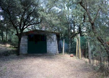 Casa all\'aperto - Terreno agricolo Capraia e Limite - foto 2