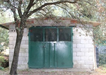 Edificio all\'aperto - Terreno agricolo Capraia e Limite - foto 4