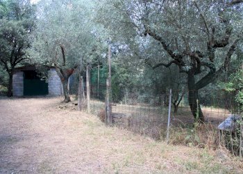Giardino - Terreno agricolo Capraia e Limite - foto 1