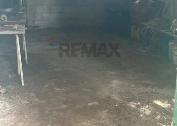 Parcheggio - Terreno agricolo Capraia e Limite - foto 10