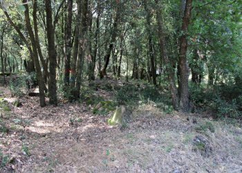 Giardino - Terreno agricolo Capraia e Limite - foto 11