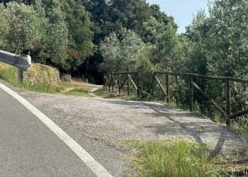 Giardino - Terreno agricolo Capraia e Limite - foto 25