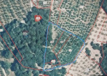 Posizione della mappa - Terreno agricolo Capraia e Limite - foto 29