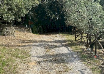 Giardino - Terreno agricolo Capraia e Limite - foto 30