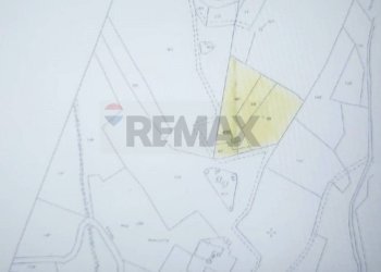 Pianta 2D - Terreno agricolo Capraia e Limite - foto 32