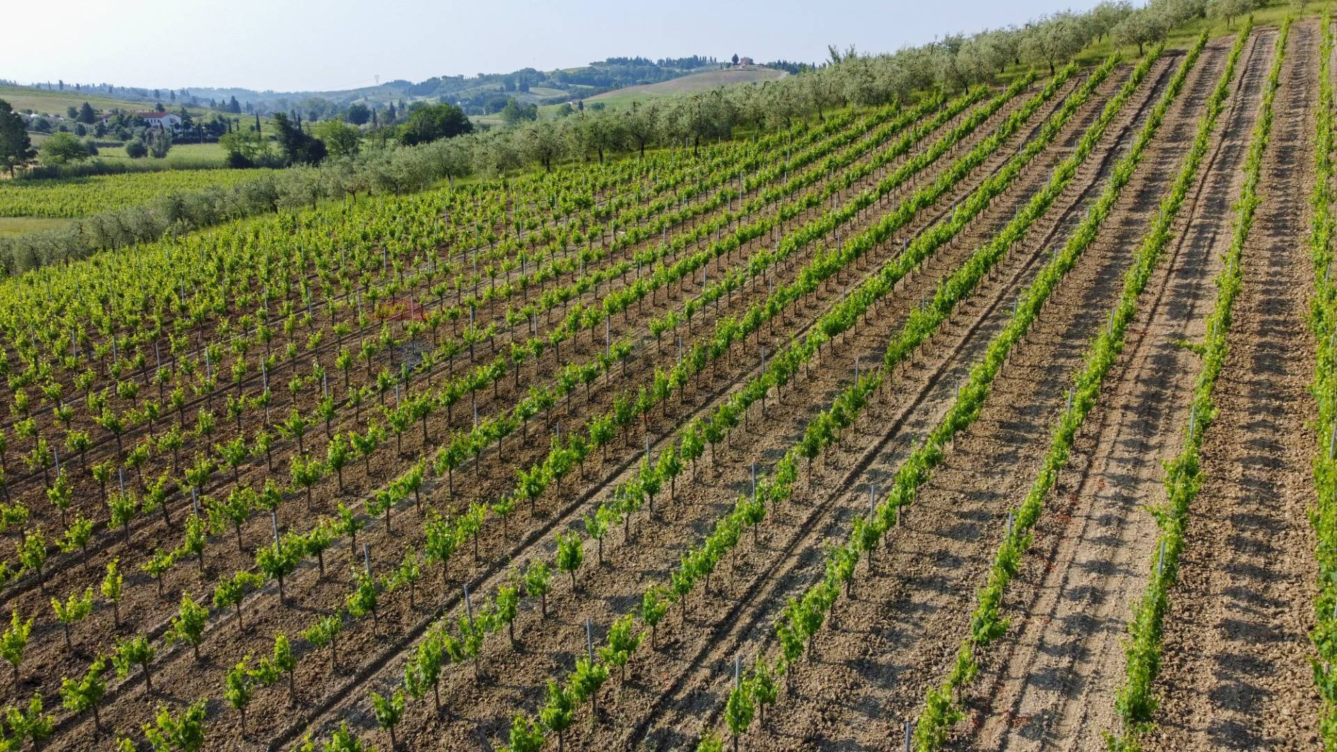 Vista delle montagne - Agricultural land Empoli - photo 3