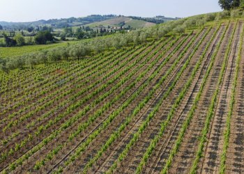 Vista delle montagne - Terreno agricolo Empoli - foto 35