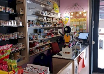 Cucina - Commercial Activity Empoli - photo 5