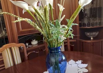 Sala da pranzo - Appartamento Castelfiorentino - foto 1