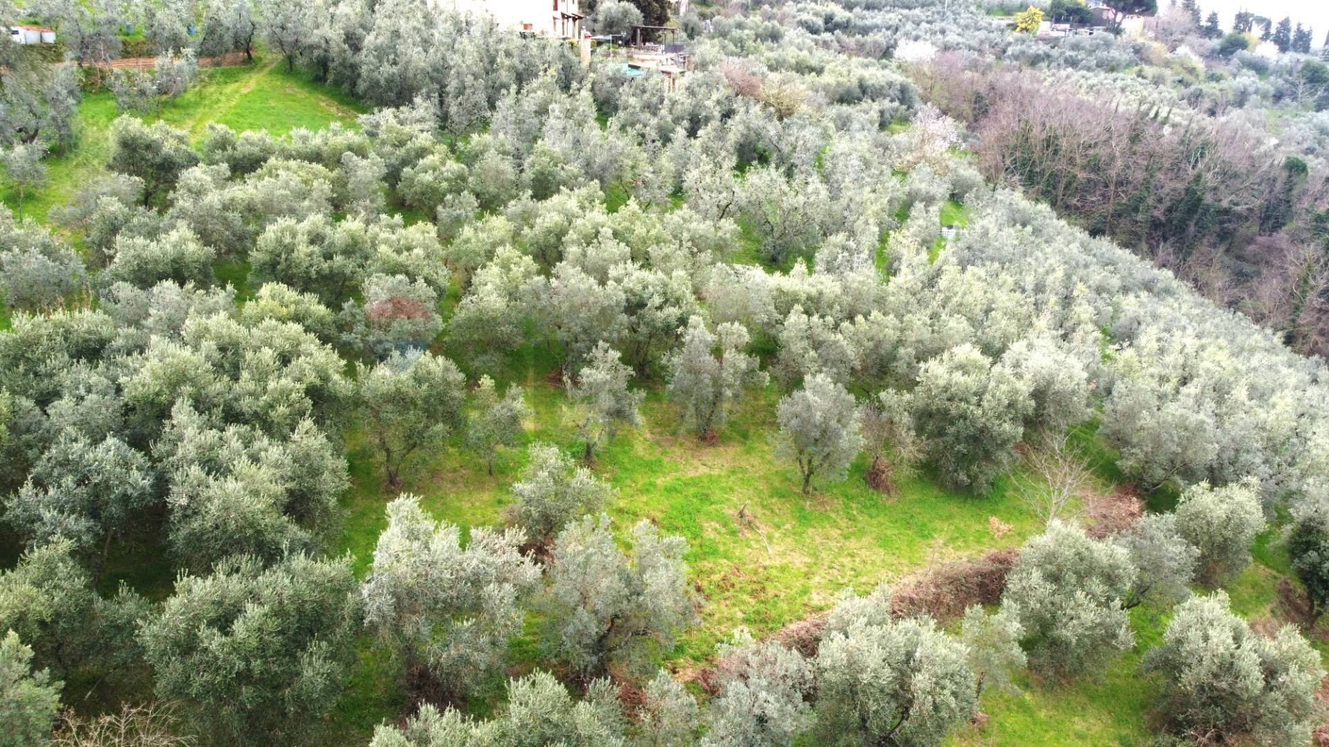 panoramica - Terreno agricolo Via Carmignanese, Vinci - foto 2