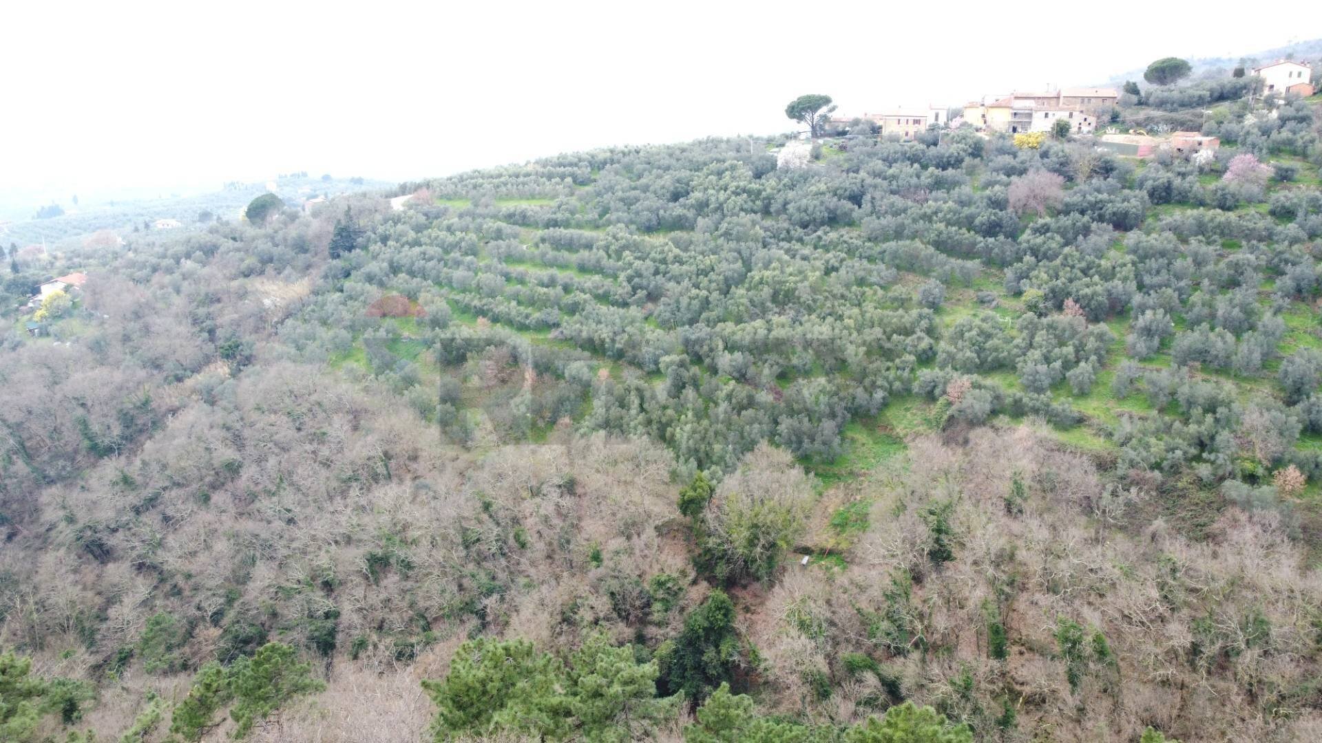 panoramica - Terreno agricolo Via Carmignanese, Vinci - foto 2