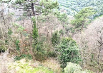 panoramica - Terreno agricolo Via Carmignanese, Vinci - foto 3