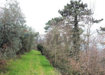 panoramica - Terreno agricolo Via Carmignanese, Vinci - foto 12