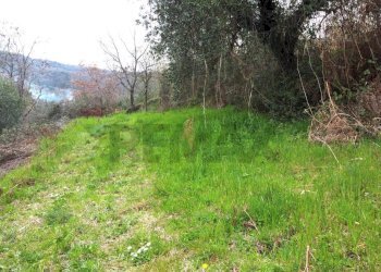 panoramica - Terreno agricolo Via Carmignanese, Vinci - foto 13