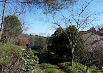 esterno - Casa semi indipendente Via Carmignanese
 
401, Vinci - foto 4