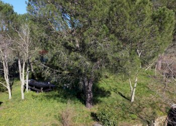 Giardino - Casa semi indipendente Via Carmignanese
 
401, Vinci - foto 7