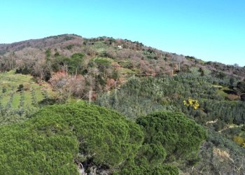 Vista delle colline - Casa semi indipendente Via Carmignanese
 
401, Vinci - foto 13