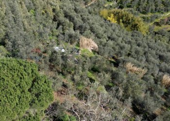 oliveta - Casa semi indipendente Via Carmignanese
 
401, Vinci - foto 16