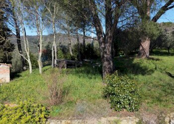 Giardino - Casa semi indipendente Via Carmignanese
 
401, Vinci - foto 17