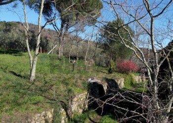 Giardino - Casa semi indipendente Via Carmignanese
 
401, Vinci - foto 18